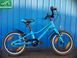 Велосипед 16" GIANT ARX F/W 2020 синій